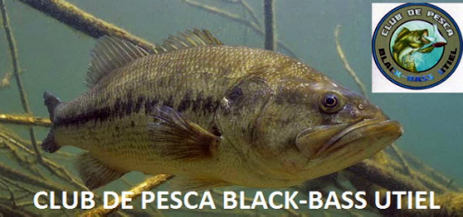 CLUB DE PESCA BLACK-BASS UTIEL