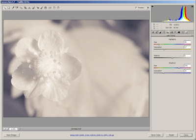 Processing split toned infrared flower photo in Adobe Camera RAW (ACR)