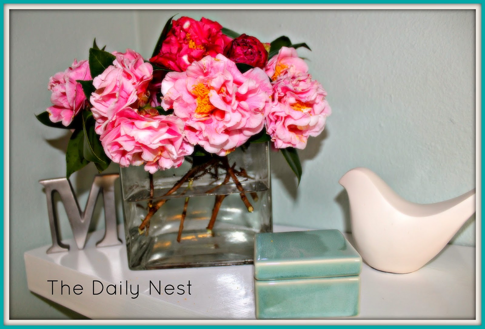 The Daily Nest January 2014