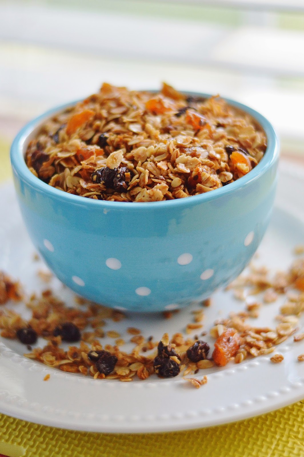 The Art of Comfort Baking MapleHoney Coconut Granola