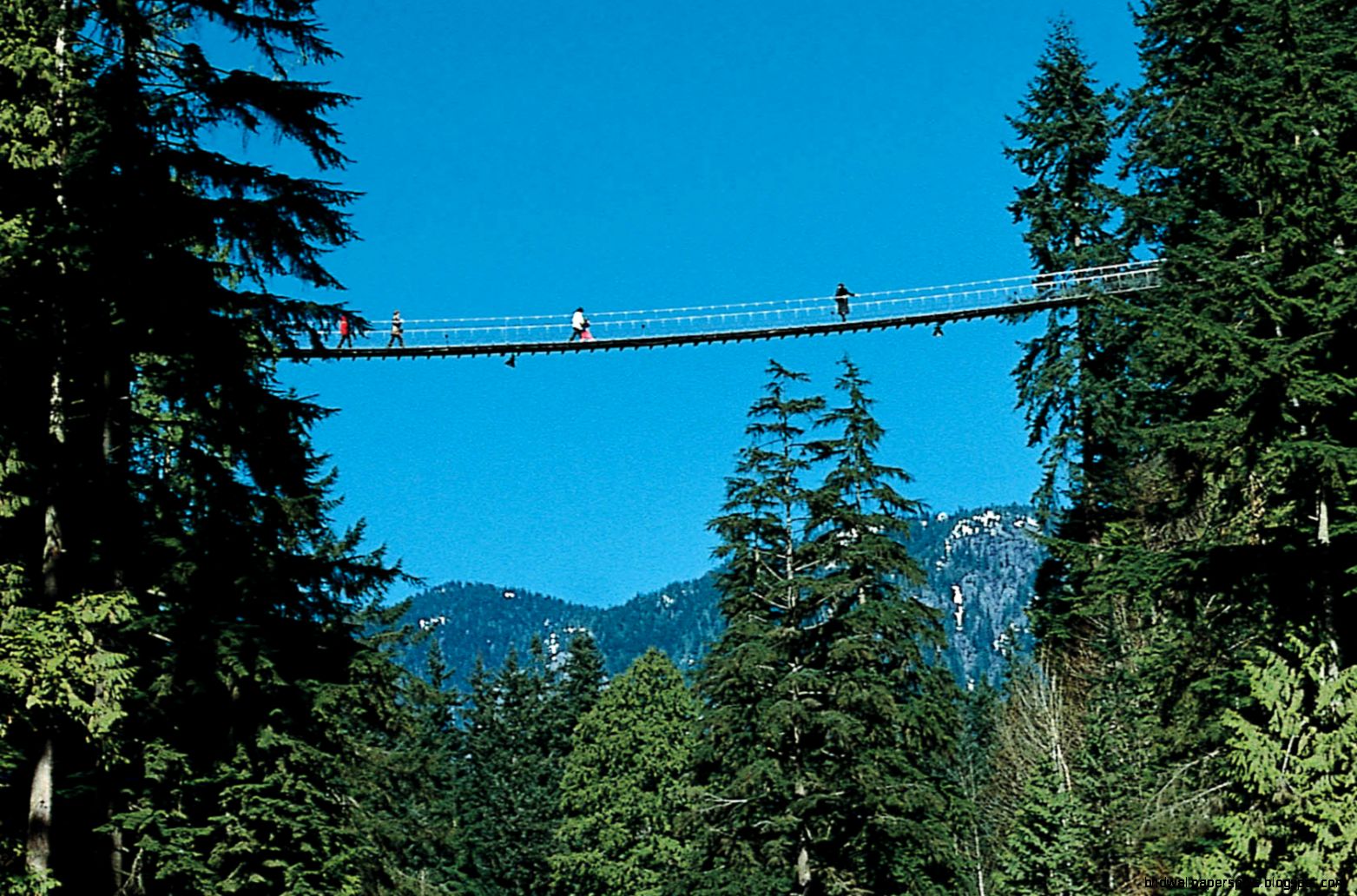 Tourism Vancouver Capilano Tourism Vancouver Capilano