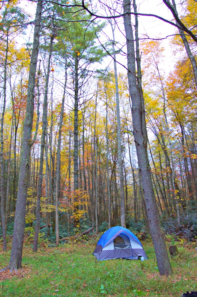 Camping in the Fall Foliage