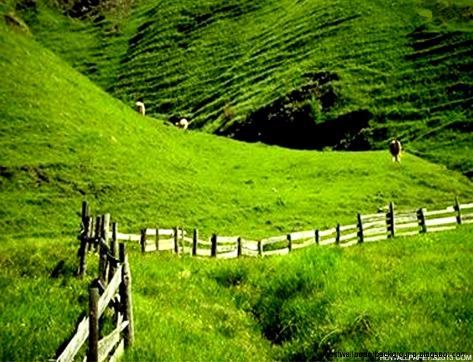 Wallpapers Of Nature Scenes HD Wallpapers and Pictures Wallpapers Of Nature Scenes HD Wallpapers and Pictures