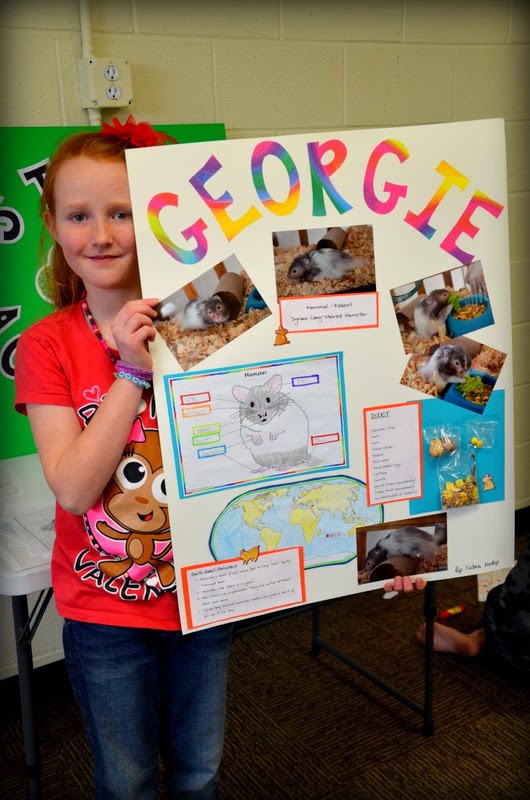 DSC_6839.JPG 530×800 pixels Cool science projects, Animal projects