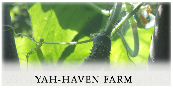 Yah-haven Farm