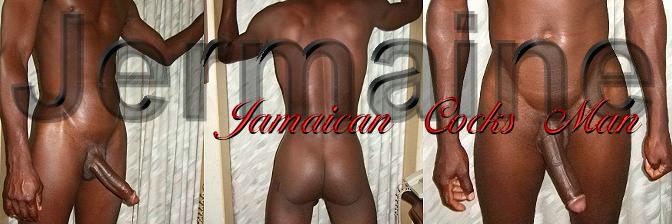 Jamaican Cocks Man