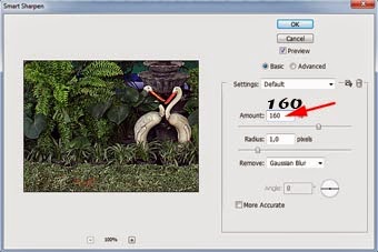 Mempertajam Warna Foto Dengan Photoshop Mempertajam Warna Foto Dengan Photoshop