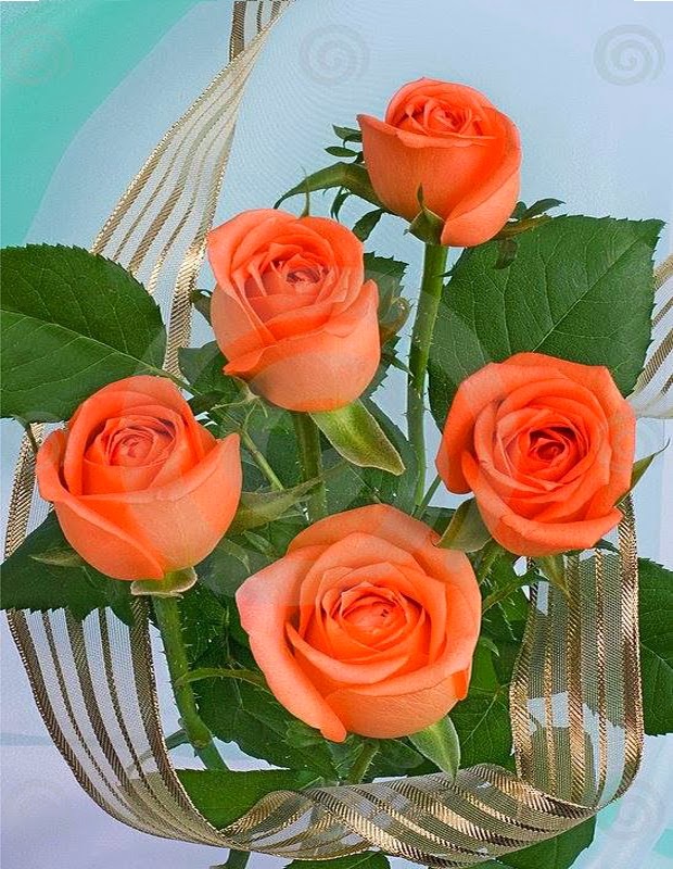 ورود جميلة  - صفحة 2 Beautiful+orange+rose+wallpaper