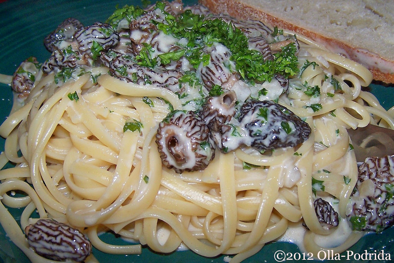 OllaPodrida Pasta with Morel Mushroom Cream Sauce