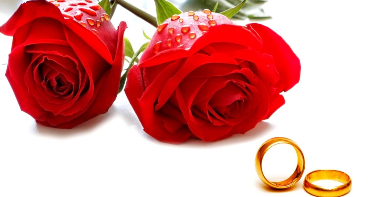 Happy weekend, vacation wishes, status, images, picture for whatsapp Valentine Roses Card Wallpaper | High Definitions Wallpapers