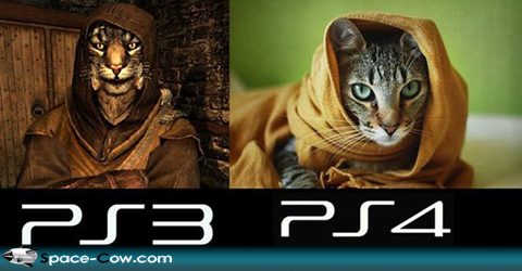 PS3+and+PS4+cat+funny+animals+things.jpg