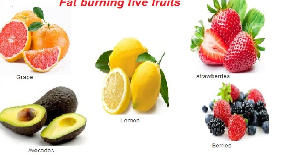 5 best fat burning fruits Medibangla