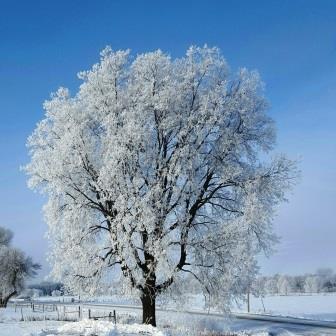 Winter in Minnesota!!