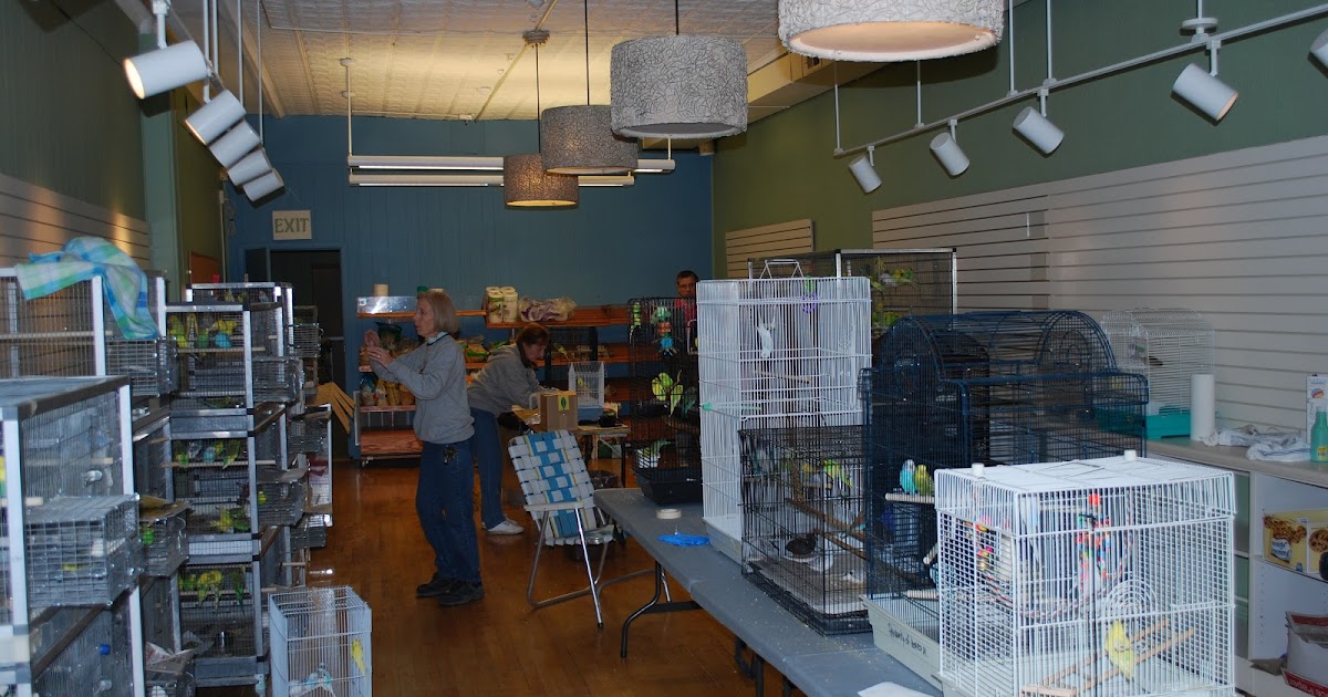 Niles Animal Hospital and Bird Medical Center Update on the Hoarded