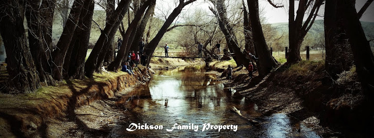 Dickson Family Property