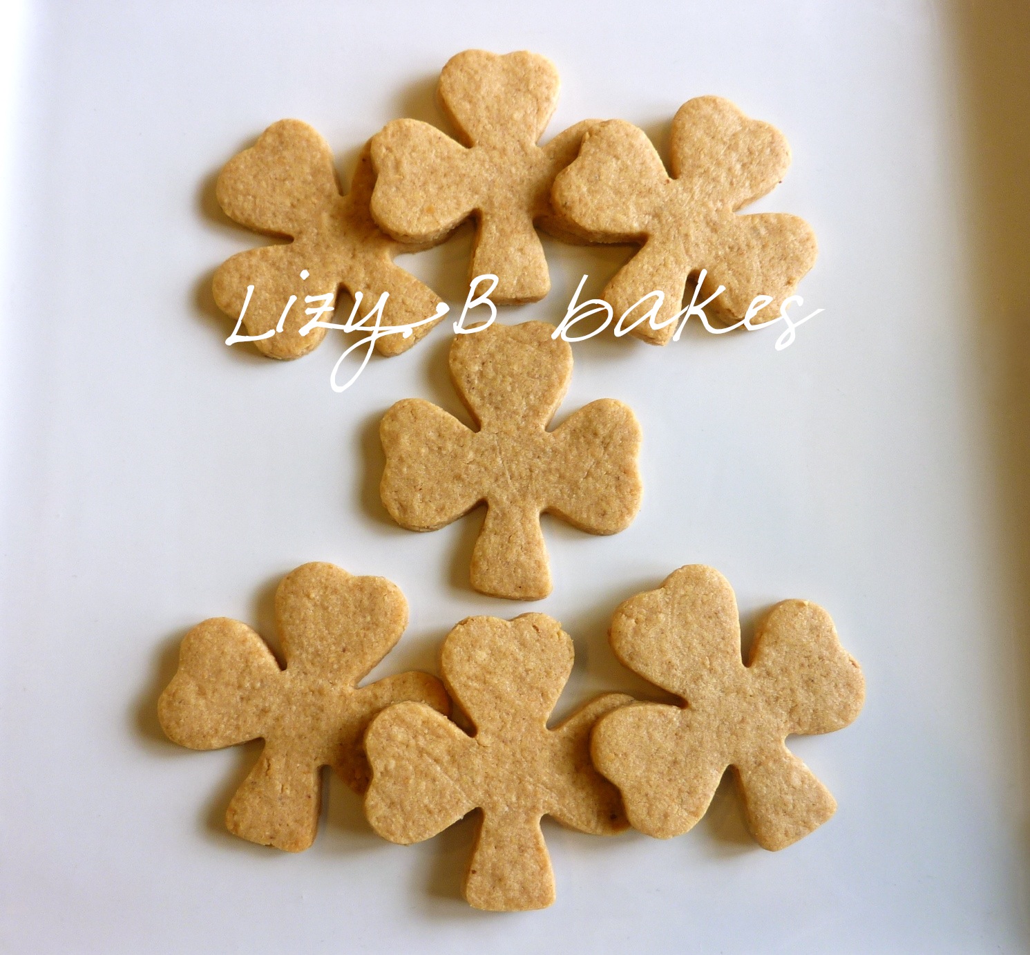 Lizy B Peanut Buttery 'CutOut' Sugar Cookies!