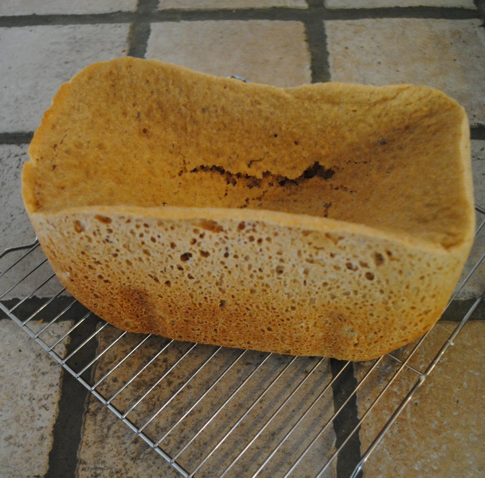 Chatter, Clatter, and Things That Matter Bread Machine Fail