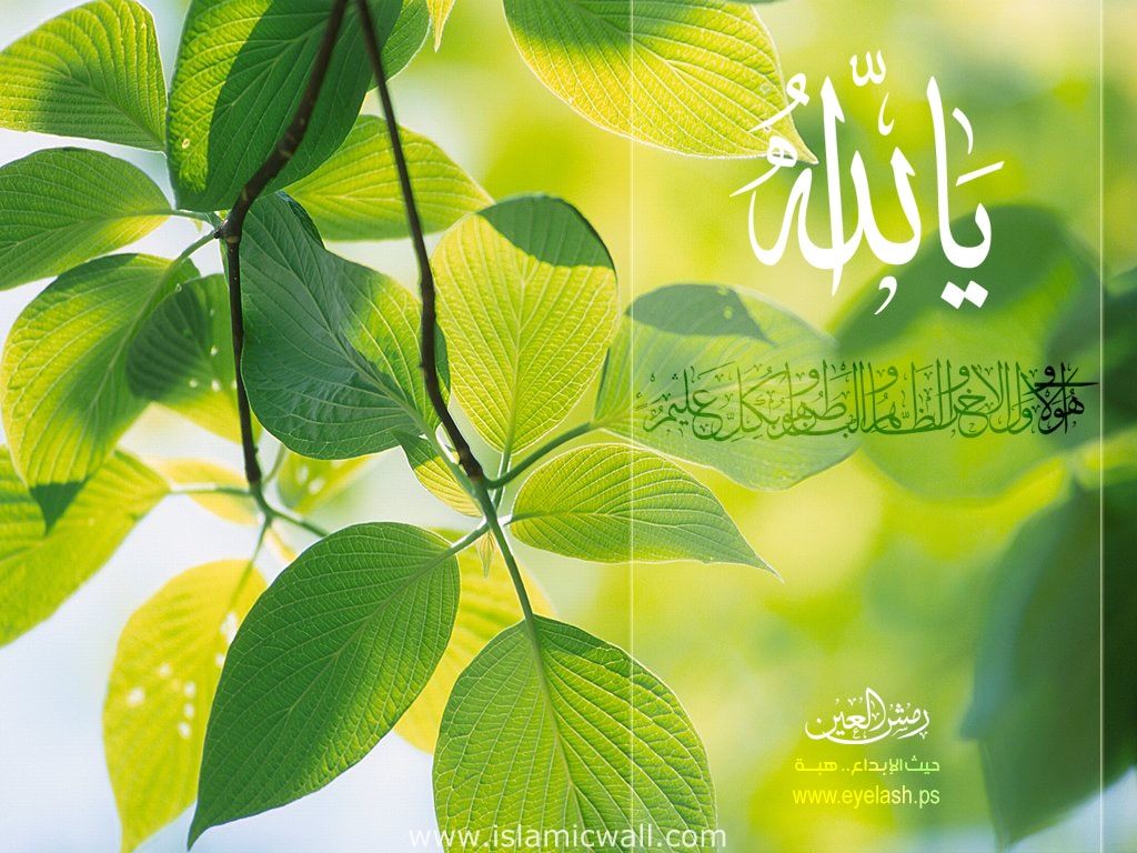 Hd Islamic Pictures