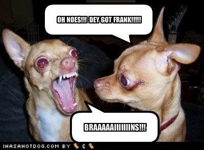 really+funny+dogs-2.jpg