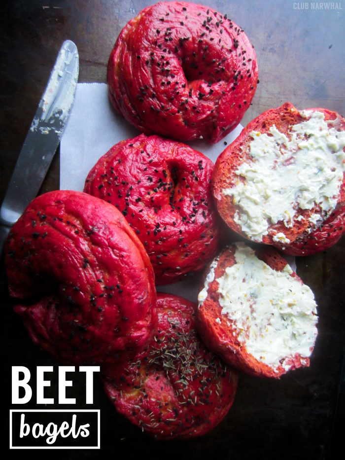 Beet-Bagels-Club-Narwhal