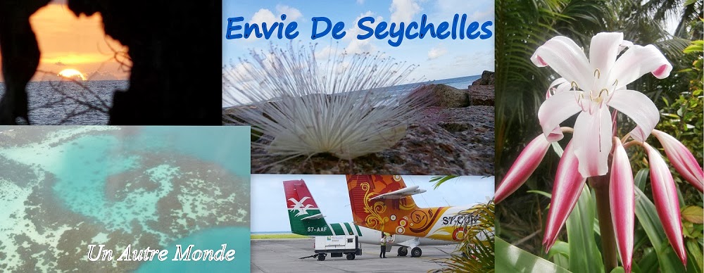Envie De Seychelles