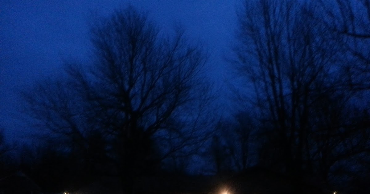 The Heath Post Tree Today