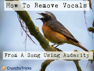 remove vocals from song using audacity