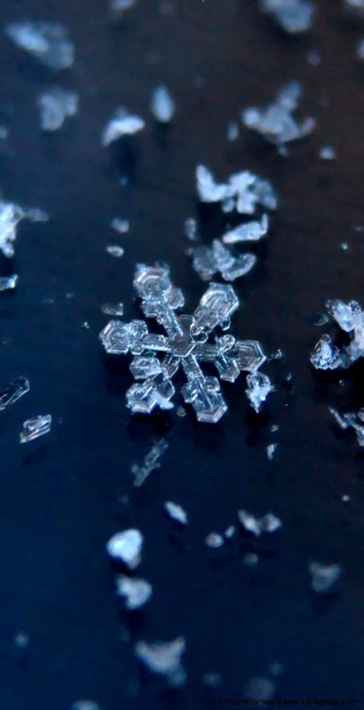 Unique Iphone 5 Wallpaper  Wallpapers Records Unique Iphone 5 Wallpaper  Wallpapers Records