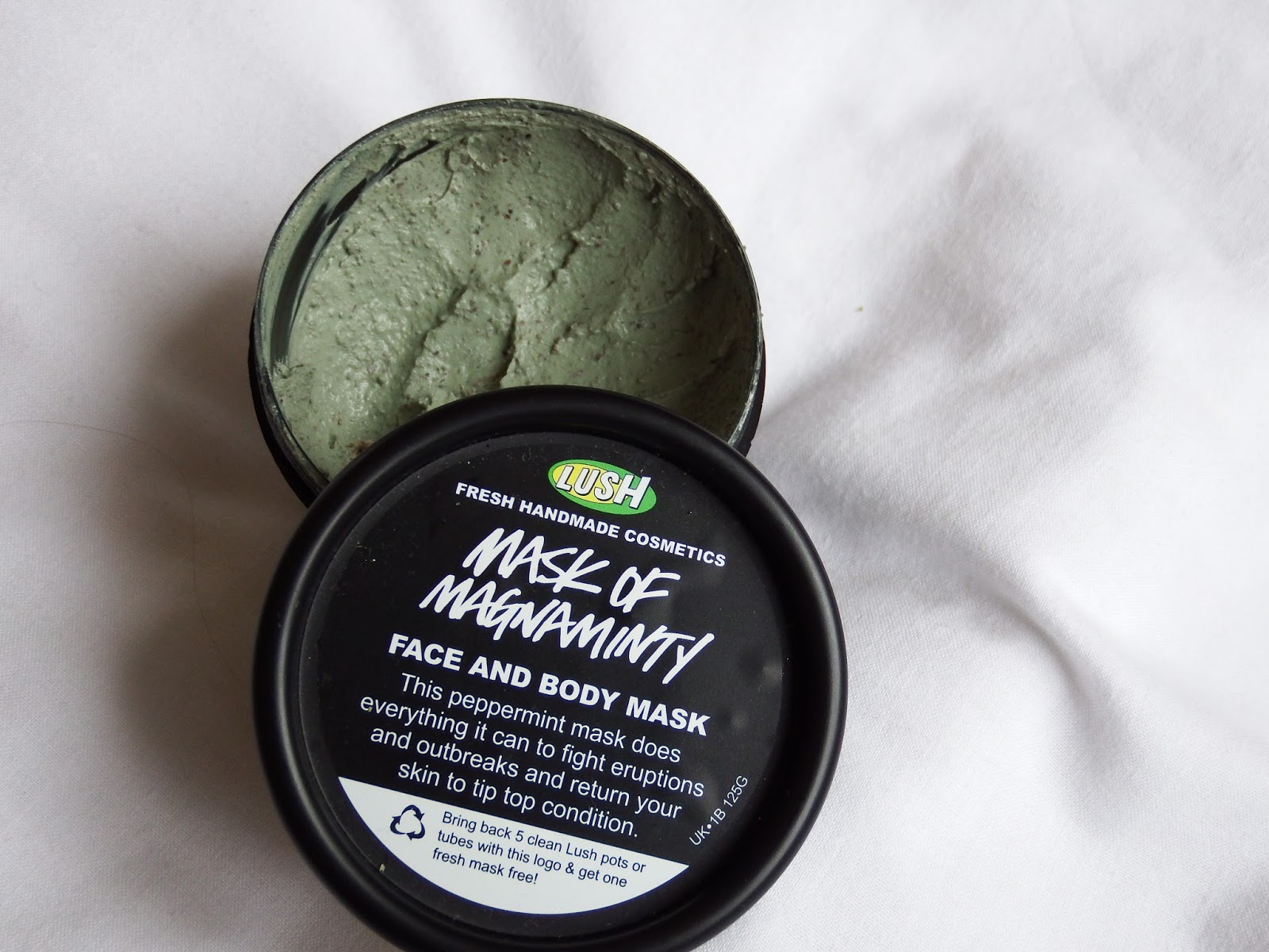 The Perks Of Being Emily lush mask of magnaminty review♡