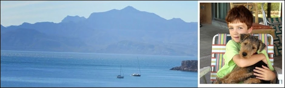 Voyage of S/V Sea Biscuit