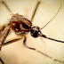 Carreata de combate à dengue percorrerá Ceilândia