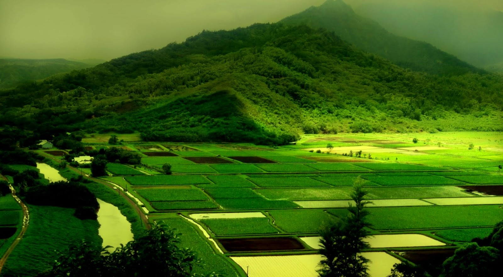 Green Nature Green Nature