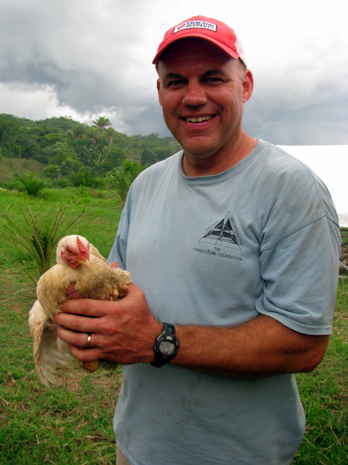 biggest chicken breed