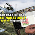 Sayu : Gambar Sekeping Kad Raya Ditemui di Tempat Nahas MH17
