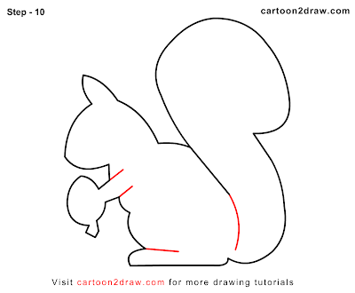 Steps to Drawing a Cartoon Squirrel