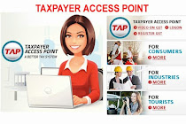 Taxpayer Access Point