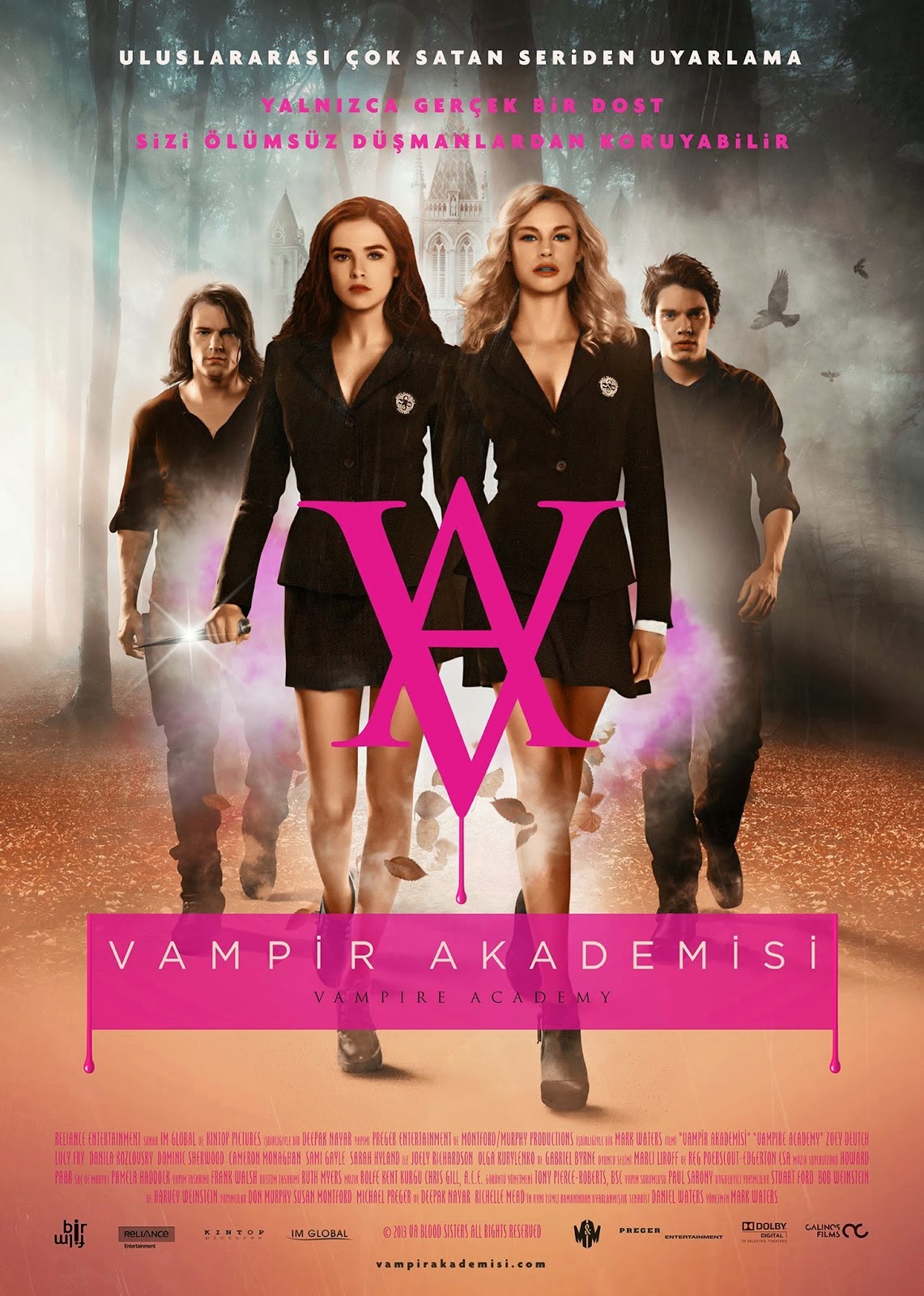 Vampir Akademisi Film Afişi #2