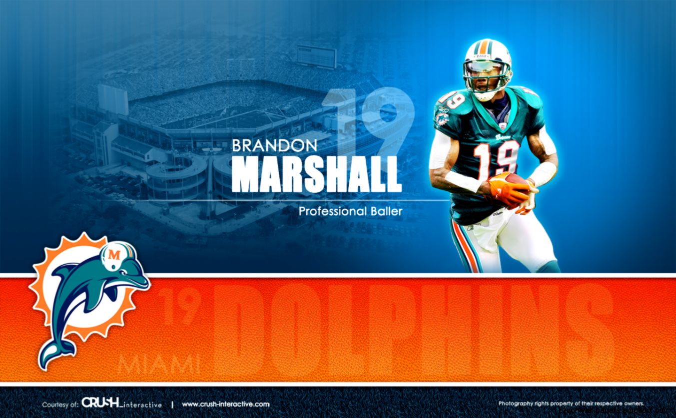 Brandon Marshall Miami Dolphins Wallpaper 6932521 Brandon Marshall Miami Dolphins Wallpaper 6932521