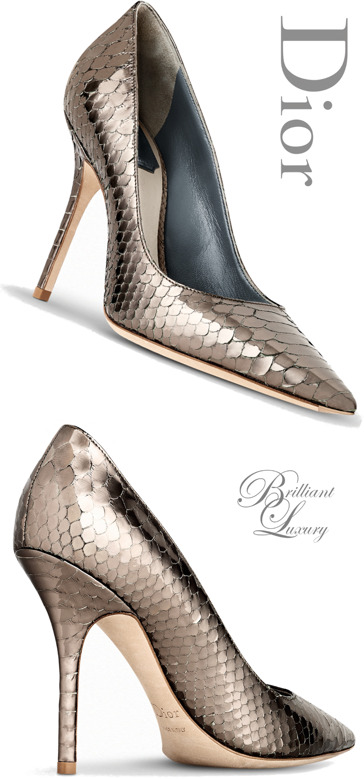 Brilliant Luxury ♦Dior High Heels Fall 201516