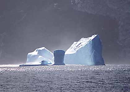 Explosión de vida alrededor de los icebergs
