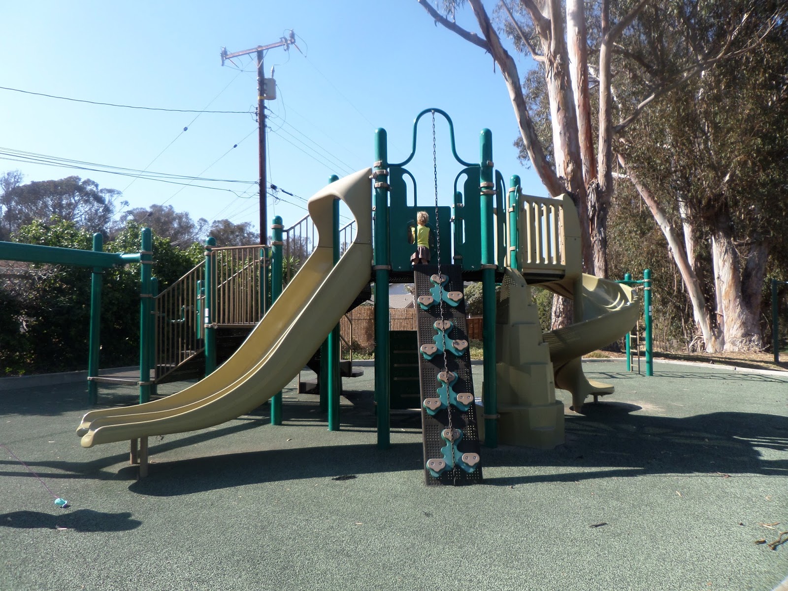 Little Patch of Earth Santa Barbara Shores