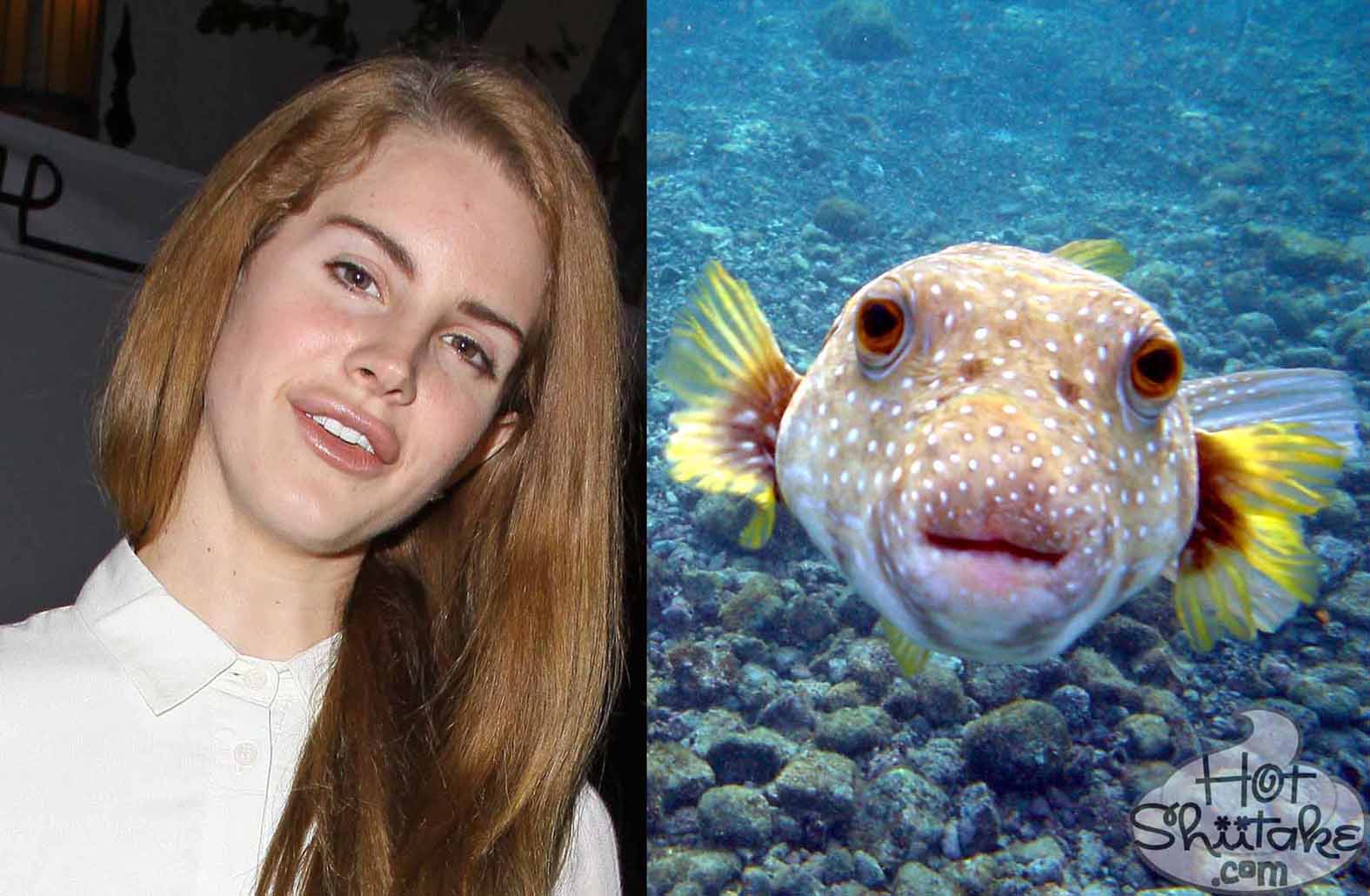 Lana Del Rey Fish Lips