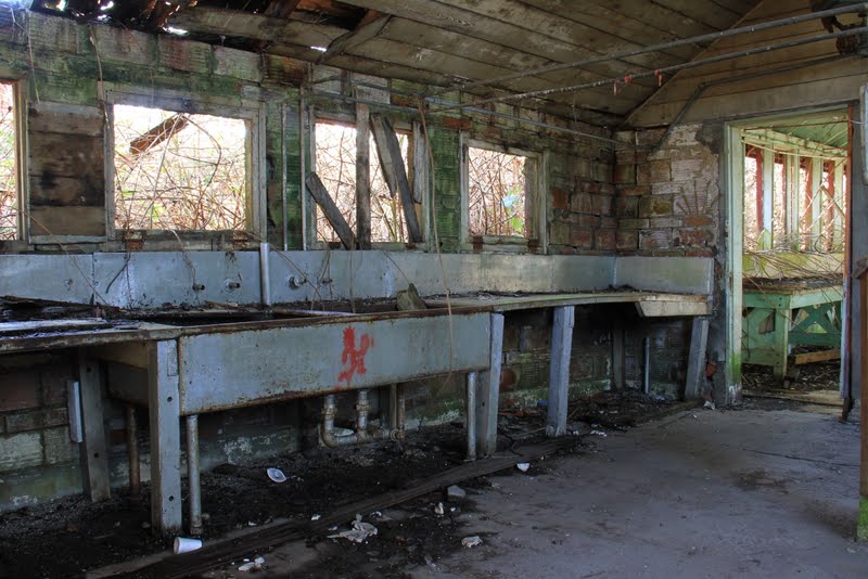 Serendipity and Orchids Northern State Hospital, SedroWoolley