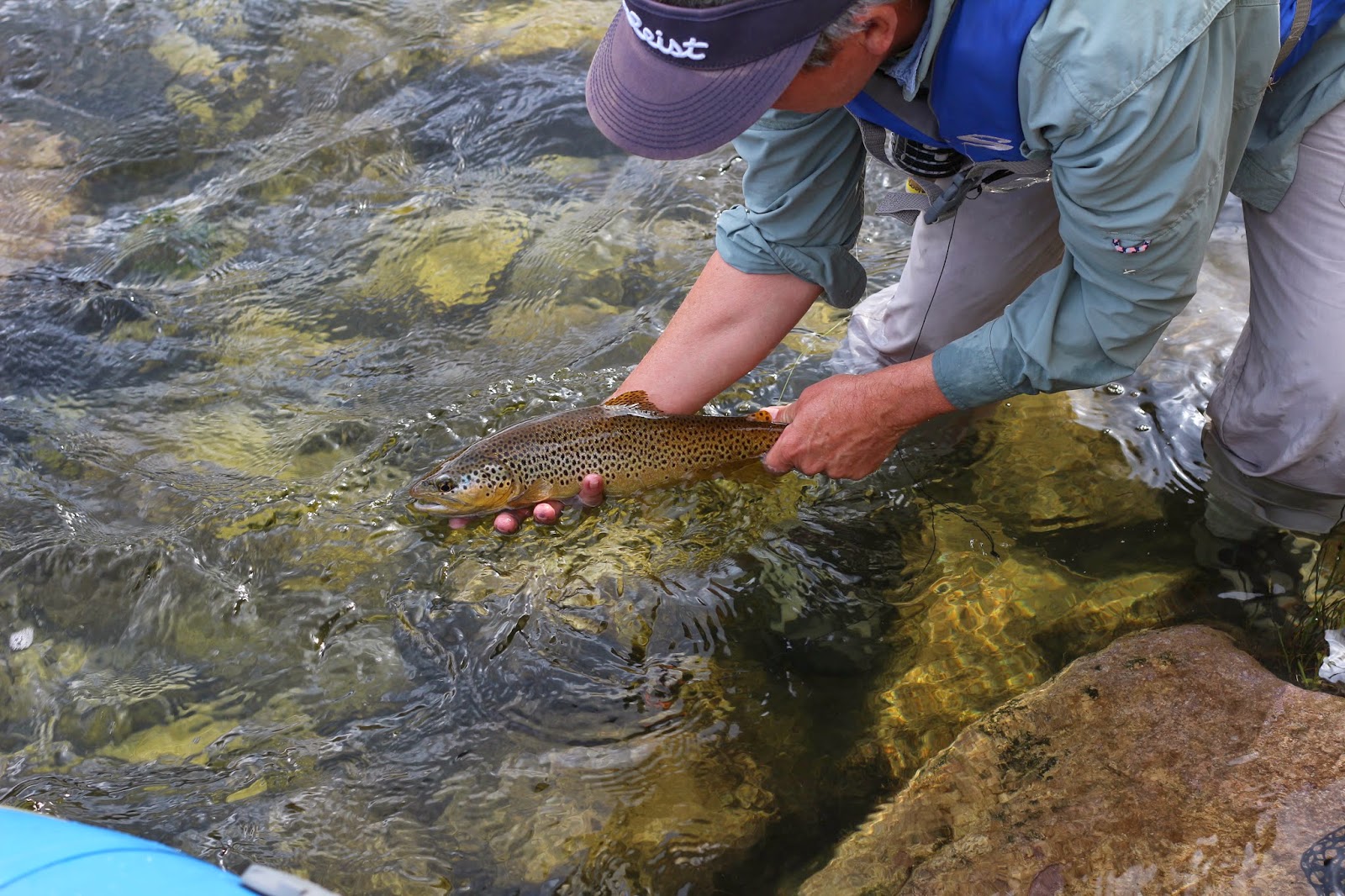 Fly+Fish+the+Green+River+A+section+with+Jay+Scott+Outdoors+during+the+Cicada+Hatch+June+2014+19.JPG