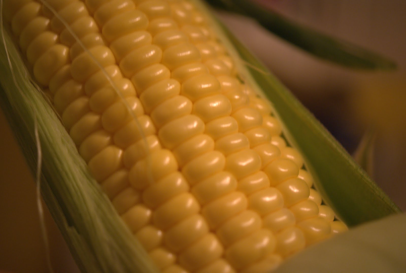 corn varieties