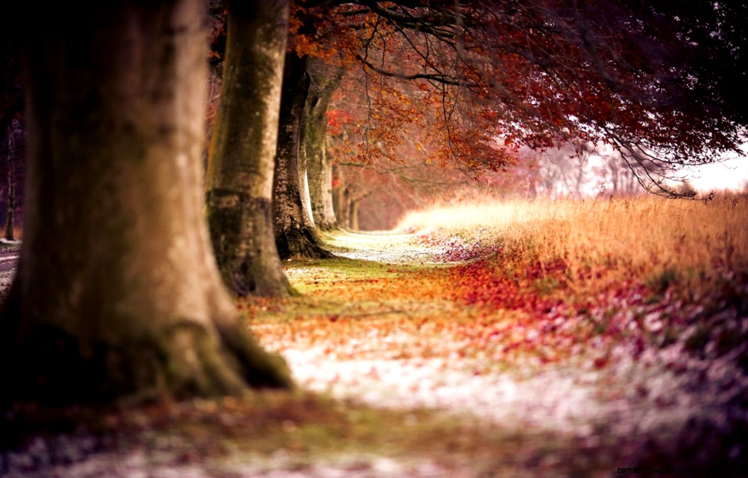 Awesome Desktop Background WallpaperSafari Awesome Desktop Background WallpaperSafari