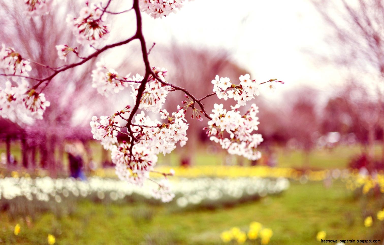 Spring Wallpaper HD 1600x1200px 350661 Spring Wallpaper HD 1600x1200px 350661