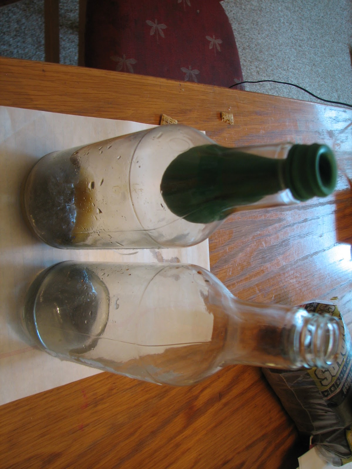 Science Matters Conservation of Matter Steel Wool & Vinegar