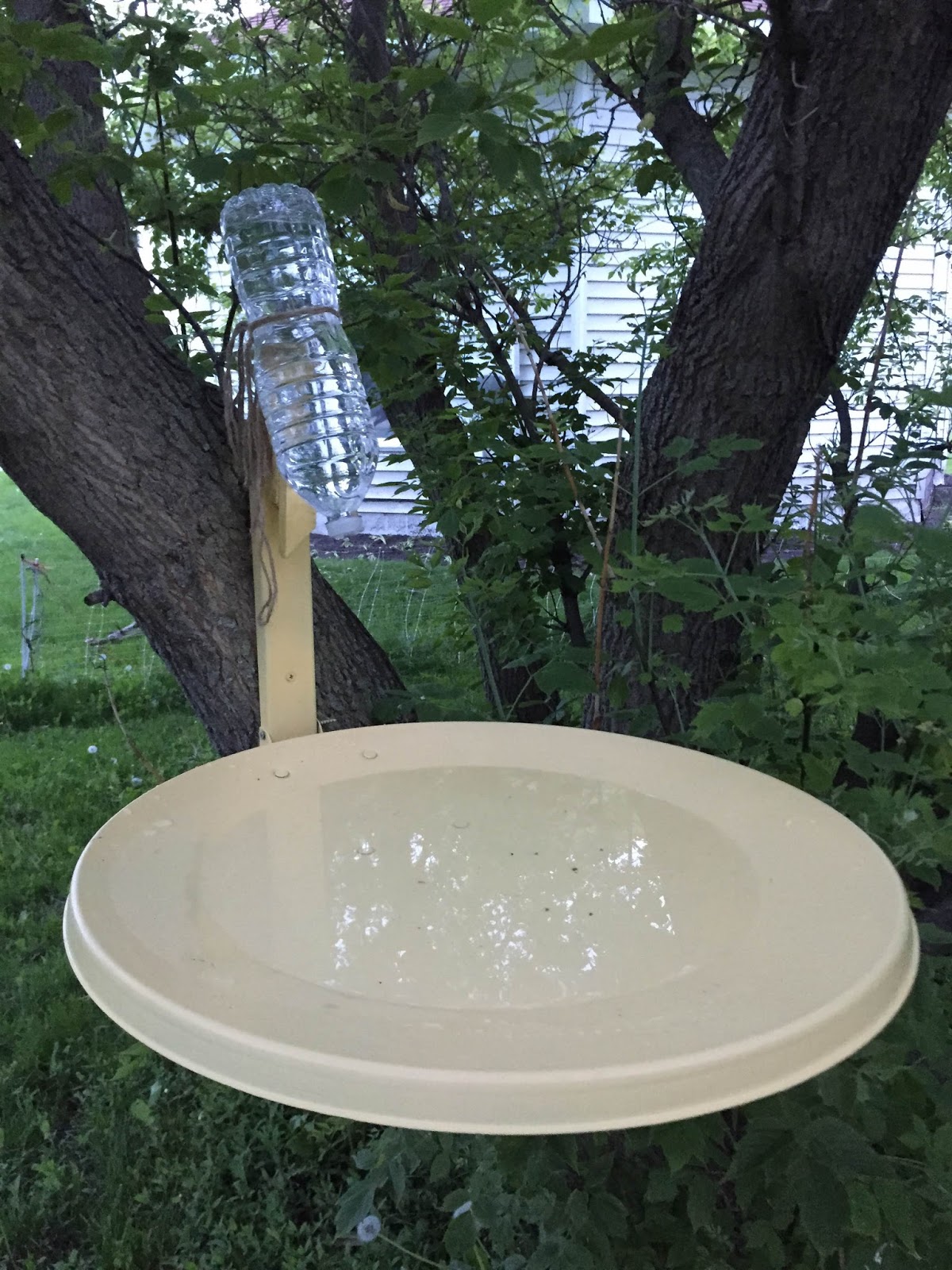 DIY Sunday Satellite Dish Bird Bath The Dabbling Crafter