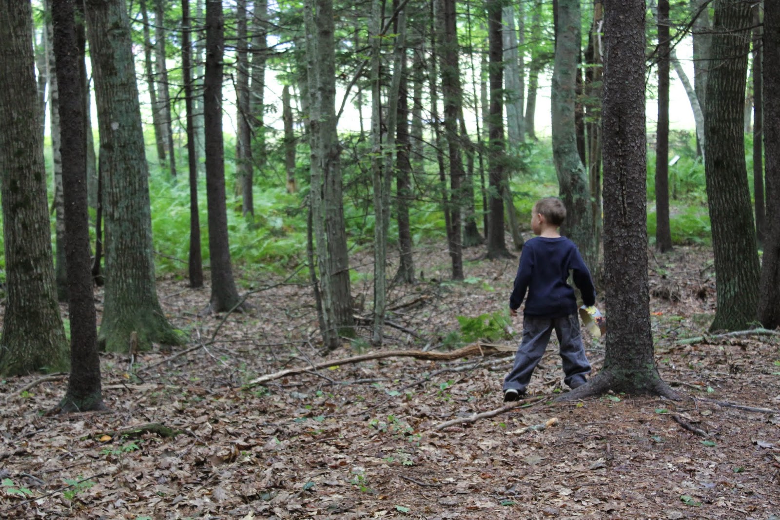 born imaginative. "What